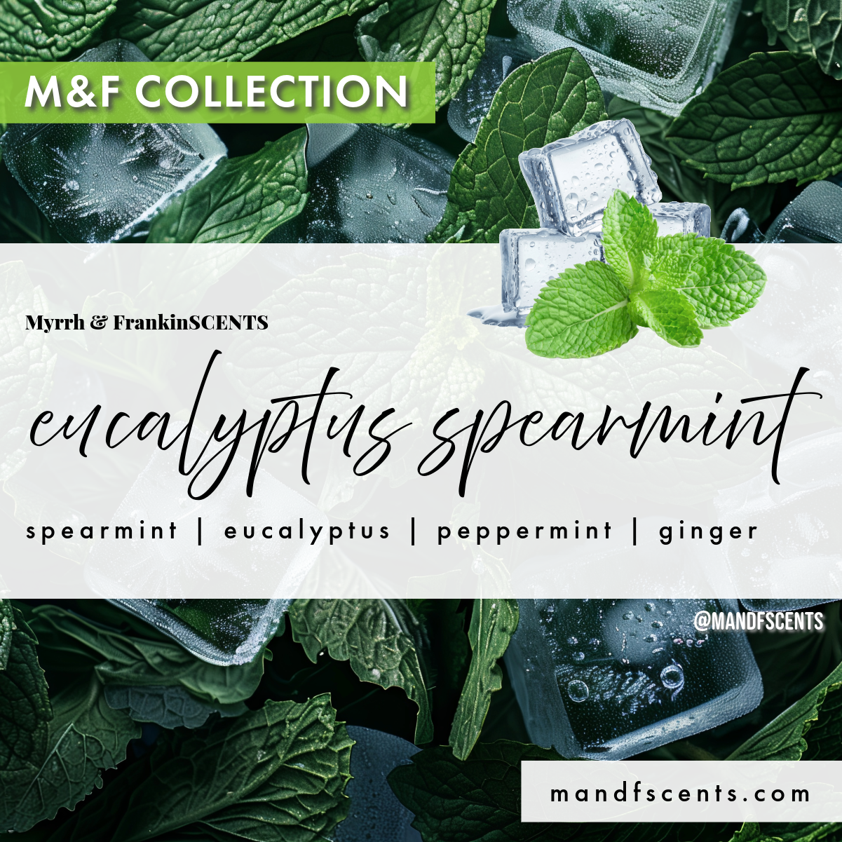 Eucalyptus Spearmint Perfume Oil